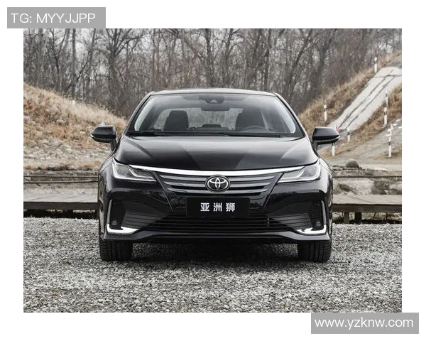 法兰克与比勒费对决分析谁在实力和战术上更具优势