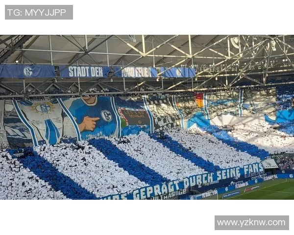 奥格斯堡主场迎战沙尔克04双方争夺关键三分之战